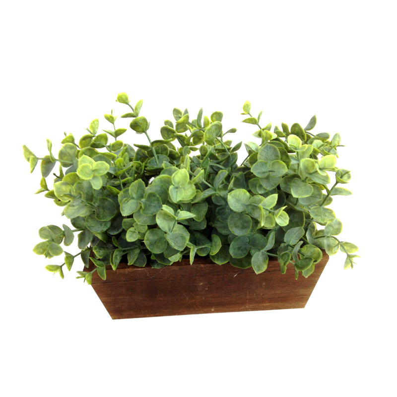 artificial green succulent plant in pot